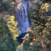 『旅行人山荘宿泊記』鹿児島県・霧島市に行ってきた（2021年11月）②敷地散歩・施設案内・夕食