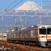 東海道線　313-2500系T編成