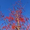 １年が終わり・・デス