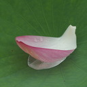 トレイルＦの四季便り