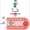 ★頻尿の原因は？