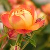 はてなブログに登録時の参考！！