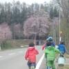 鷹栖は桜も山の植物もたくさんだよ