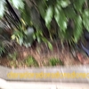 それを見ました