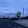 久しぶりの雨模様のはず
