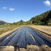 合同教研に向けて考えた