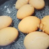 初・断水