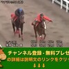 きさらぎ賞（GIII） 【競馬調教】 マテラレックス調教動画