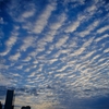 秋の空