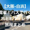 大阪から特急くろしおとバスで行くとれとれヴィレッジ1泊2日の旅【旅程まとめ】