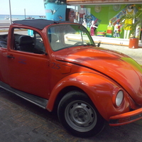 メキシコでレンタカ－を借りる方法　in  コスメル島