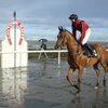 アイルランドの浜競馬