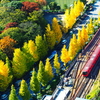 都心に見事な紅葉あり　小石川後楽園（後編）　