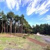 渋川総合公園キャンプ場の魅力！伊香保温泉観光にも最適でリーズナブル！