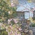 2026年5月11日放送【ヒルナンデス】初夏の伊豆で感動旅！創業140年超 文豪が愛した名宿