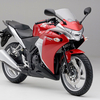 中型バイク試乗記：その１【Kawasaki Ninja250R & Honda VTR250 比較】新型CBR250Rが出る前に。