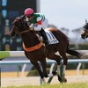 【キャロットクラブ今週の注目馬】リャスナ