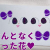 なんとなく撮った花