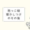 「エルゴの抱っこ紐でいつまで寝かし続けたの？」我が家の場合について書きました。