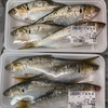 魚コノシロを捌いた(*^o^*)圧力鍋で煮てみた