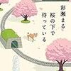 １４３冊目　「桜の下で待っている」　彩瀬まる