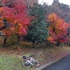 ロードバイクはあなたをまだ見たことがない場所に運んでくれる　ロードで行く日帰り旅行