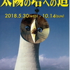 美術展情報【太陽の塔への道】岡本太郎記念館