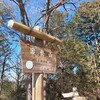 宝登山　ロウバイと眺望