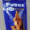 ＦＵＤＧＥ 美結晶　キャラメル