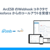 ArcESB のWebhook コネクタでSalesforce からのコールアウトを受信する