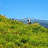 白山高山植物園オープンガーデン「総集編」