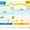 鬱は卵で治せ（実験中）