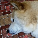 働くのが嫌いだった独身女の42歳から44歳までの記録