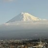富士山サイクルロードレース2024　富士クリテリウムチャンピオンシップ