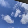 6月、晴れ、食材の買い物