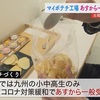 世界に一つだけのマイポテチ　湖池屋工場で体験【熊本】