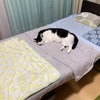陣地無用