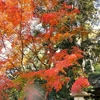 水度神社