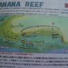 BANANA REEF  PART 9