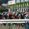 うま吉オススメ馬（12月12日）中山・阪神・中京競馬（1R～12R）