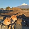 年末バタバタバタ