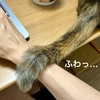 ふわふわしっぽがON。