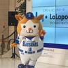 ９月１日　雨がやみました。そしてヤクルトスワローズに振り続けている敗北の雨はやまなかった。