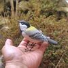 鳥の言葉がわかるほど鳥を見たい