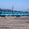 飯田線119系登場初年81-2