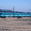 飯田線119系登場初年 81-2