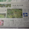 本日(第一金曜日)の読売新聞の夕刊