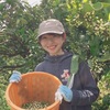 【 学生体験記 】魅力いっぱいな田村での非日常的な農業体験🍊