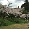 #998  鎮国寺の桜