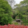 東高根森林公園でリフレッシュ🍀